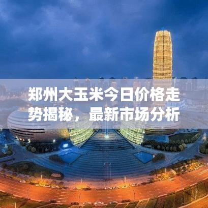 郑州大玉米今日价格走势揭秘，最新市场分析报告