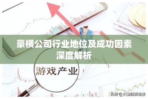 豪横公司行业地位及成功因素深度解析
