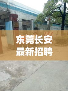 东莞长安最新招聘动态速递
