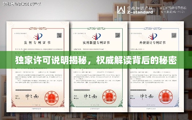 独家许可说明揭秘，权威解读背后的秘密