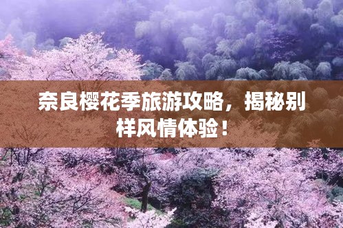 奈良樱花季旅游攻略，揭秘别样风情体验！