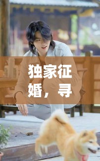 独家征婚，寻找身高特别的TA，只为与你共度一生