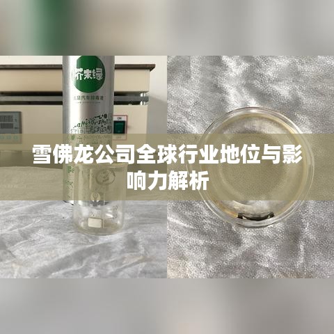 雪佛龙公司全球行业地位与影响力解析