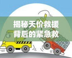 揭秘天价救援背后的紧急救助复杂现实