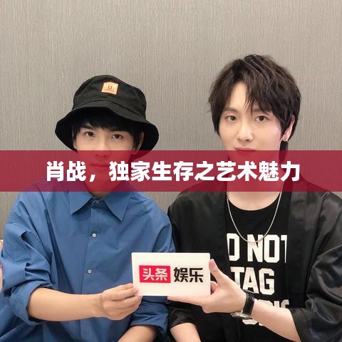 肖战，独家生存之艺术魅力