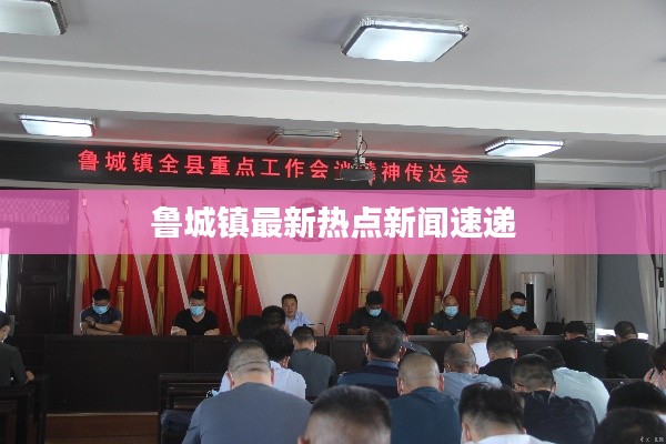 鲁城镇最新热点新闻速递