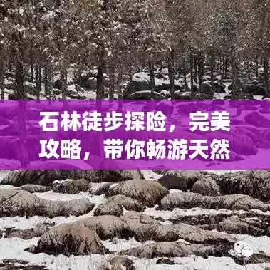 石林徒步探险，完美攻略，带你畅游天然奇石世界！