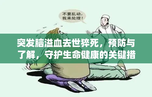 突发脑溢血去世猝死，预防与了解，守护生命健康的关键措施