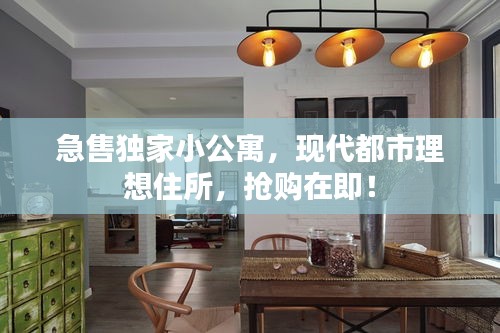 急售独家小公寓，现代都市理想住所，抢购在即！