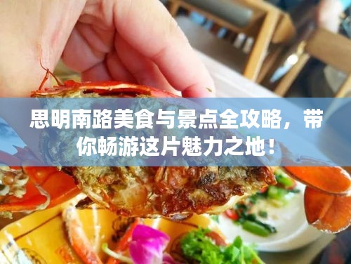 思明南路美食与景点全攻略，带你畅游这片魅力之地！