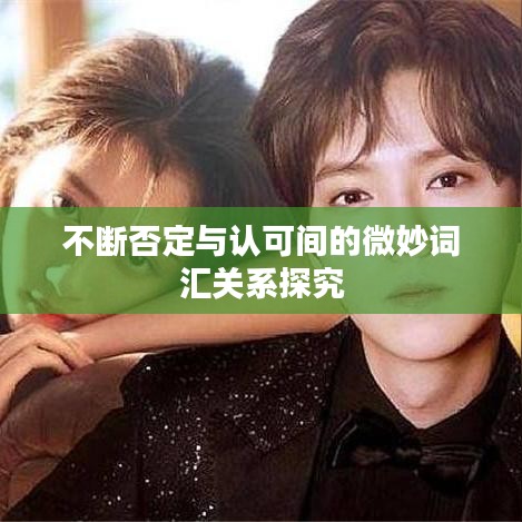 不断否定与认可间的微妙词汇关系探究
