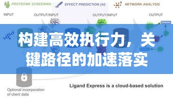 构建高效执行力，关键路径的加速落实策略