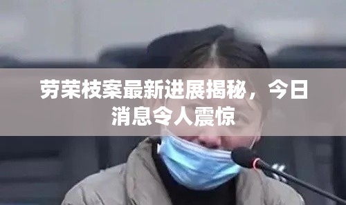劳荣枝案最新进展揭秘，今日消息令人震惊