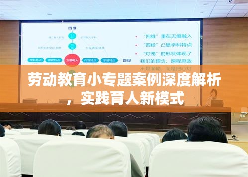 劳动教育小专题案例深度解析，实践育人新模式