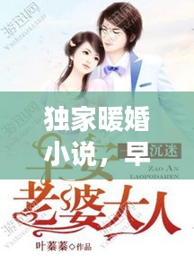 独家暖婚小说，早安甜蜜蜜的爱情启航