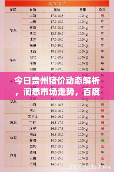 今日贵州猪价动态解析，洞悉市场走势，百度助你洞悉猪价变化！