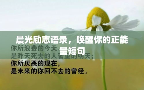 晨光励志语录，唤醒你的正能量短句