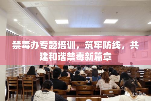 禁毒办专题培训，筑牢防线，共建和谐禁毒新篇章
