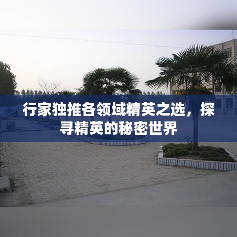 行家独推各领域精英之选，探寻精英的秘密世界