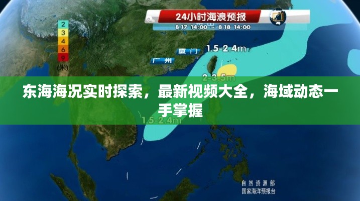 东海海况实时探索，最新视频大全，海域动态一手掌握
