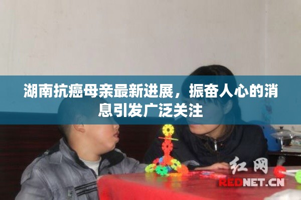 湖南抗癌母亲最新进展，振奋人心的消息引发广泛关注