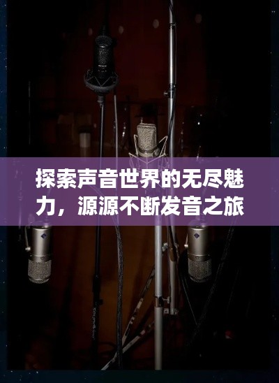 探索声音世界的无尽魅力，源源不断发音之旅