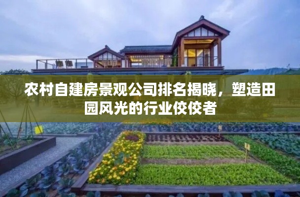 农村自建房景观公司排名揭晓，塑造田园风光的行业佼佼者