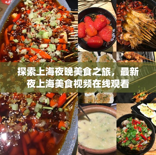 探索上海夜晚美食之旅，最新夜上海美食视频在线观看