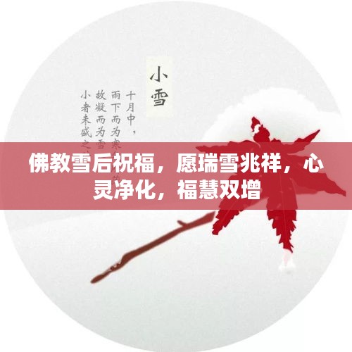 佛教雪后祝福，愿瑞雪兆祥，心灵净化，福慧双增