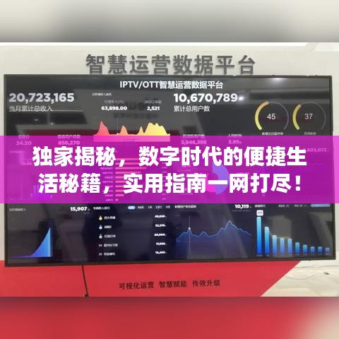 独家揭秘，数字时代的便捷生活秘籍，实用指南一网打尽！