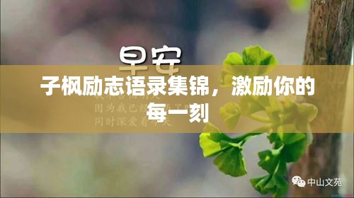 子枫励志语录集锦，激励你的每一刻