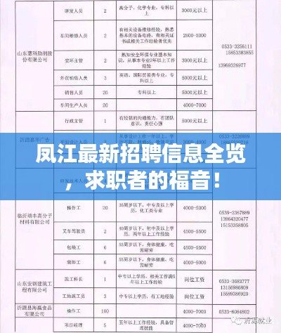 凤江最新招聘信息全览，求职者的福音！