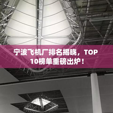 宁波飞机厂排名揭晓，TOP 10榜单重磅出炉！