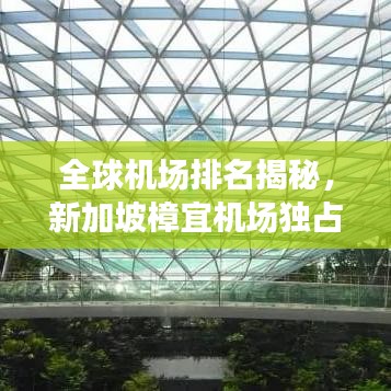 全球机场排名揭秘，新加坡樟宜机场独占鳌头