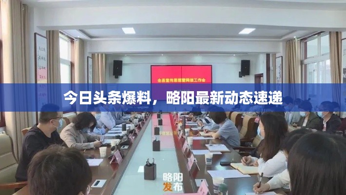 今日头条爆料，略阳最新动态速递