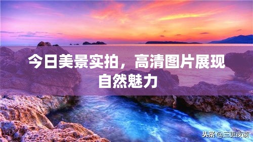 今日美景实拍，高清图片展现自然魅力