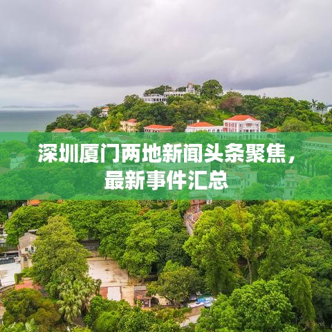 深圳厦门两地新闻头条聚焦，最新事件汇总