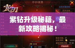 紫钻升级秘籍，最新攻略揭秘！