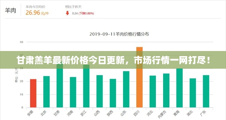 甘肃羔羊最新价格今日更新，市场行情一网打尽！