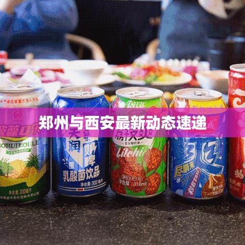 郑州与西安最新动态速递