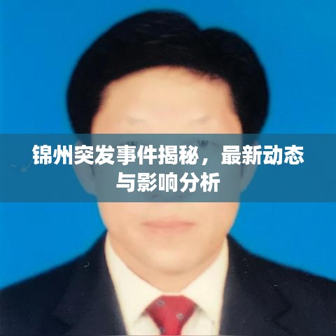 锦州突发事件揭秘，最新动态与影响分析